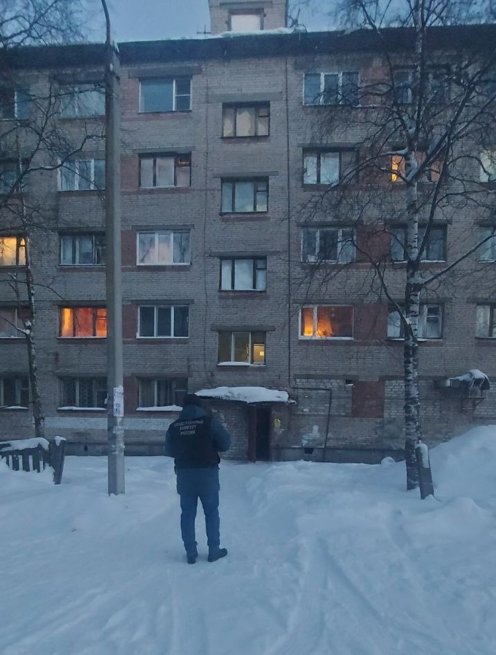 На жительницу Новодвинска с крыши сошла снежная лавина вперемешку со льдом  – Новости КлубСМИ